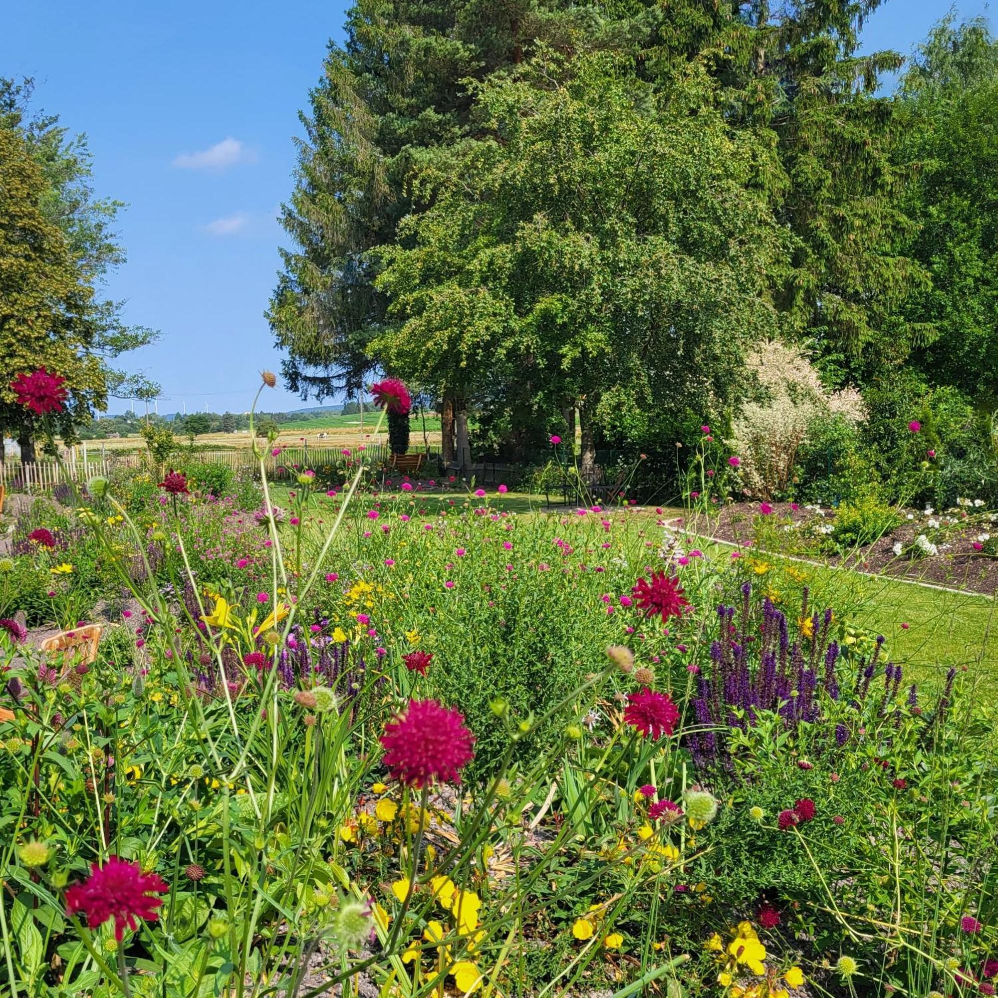 Komfort Ferienwohnungen Mit Wellness-Garten - Gaestehaus Am Bachlauf - Losheim Am See Екстер'єр фото